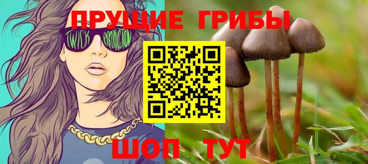 Галлюциногенные грибы мухоморы  Вход с VPN  Ейск 